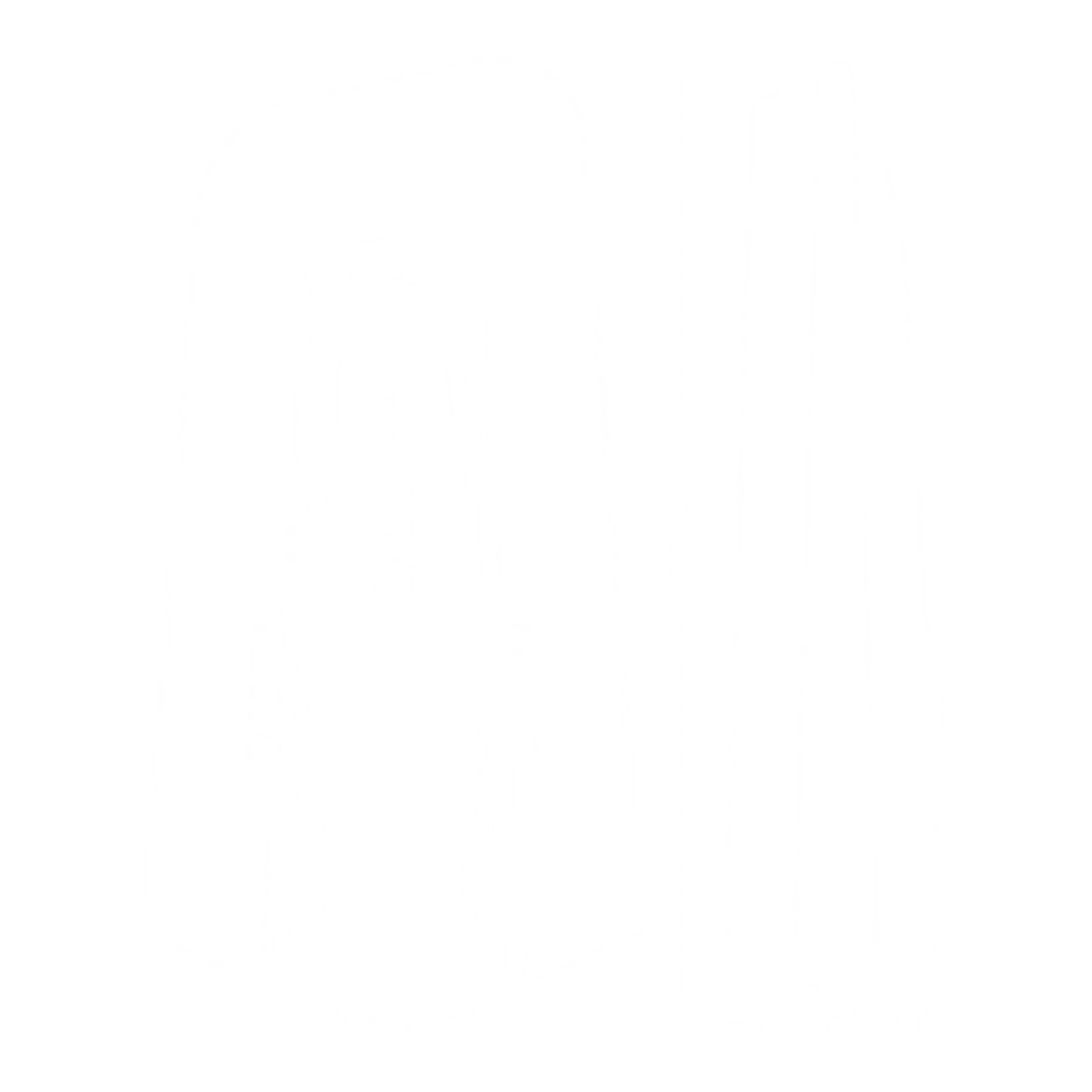 CARDO PACKTALK EDGE - Black